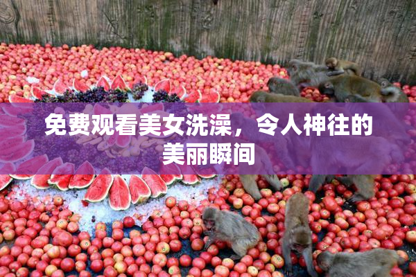 免费观看美女洗澡，令人神往的美丽瞬间