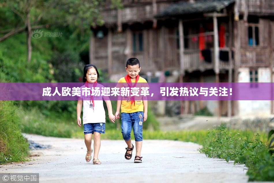 成人欧美市场迎来新变革，引发热议与关注！
