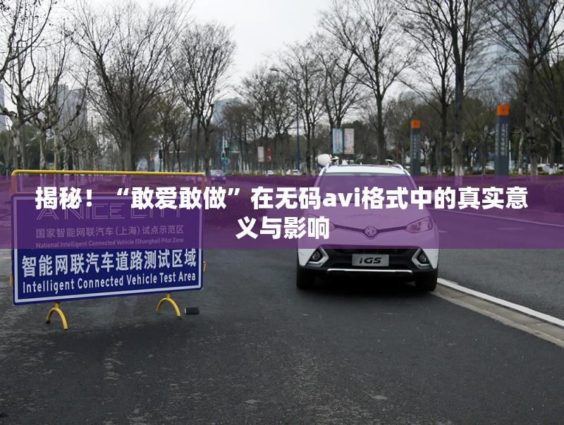 揭秘！“敢爱敢做”在无码avi格式中的真实意义与影响