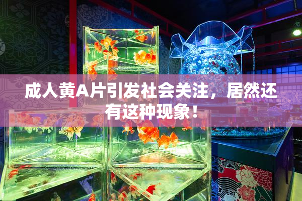 成人黄A片引发社会关注，居然还有这种现象！