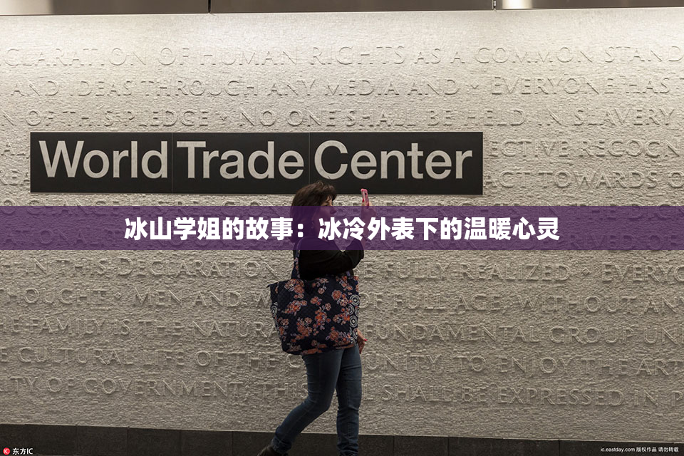 冰山学姐的故事：冰冷外表下的温暖心灵
