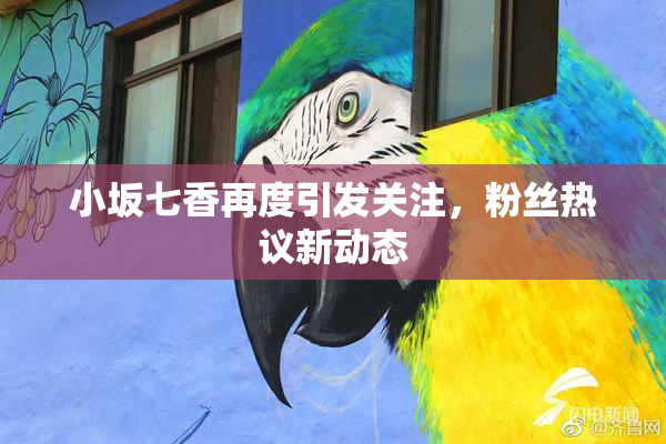 小坂七香再度引发关注，粉丝热议新动态
