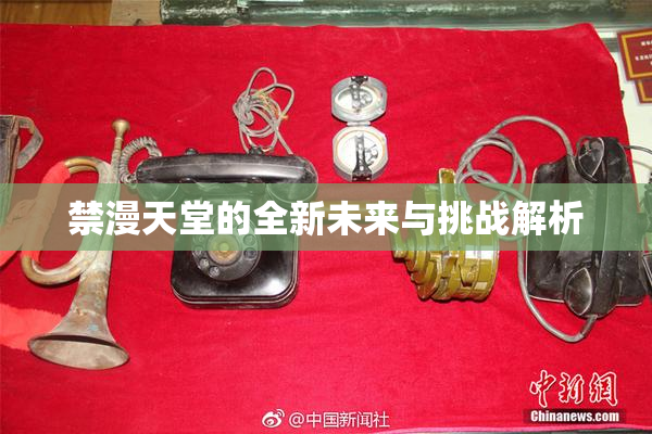 禁漫天堂的全新未来与挑战解析
