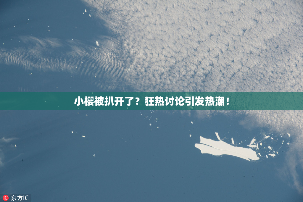 小樱被扒开了？狂热讨论引发热潮！