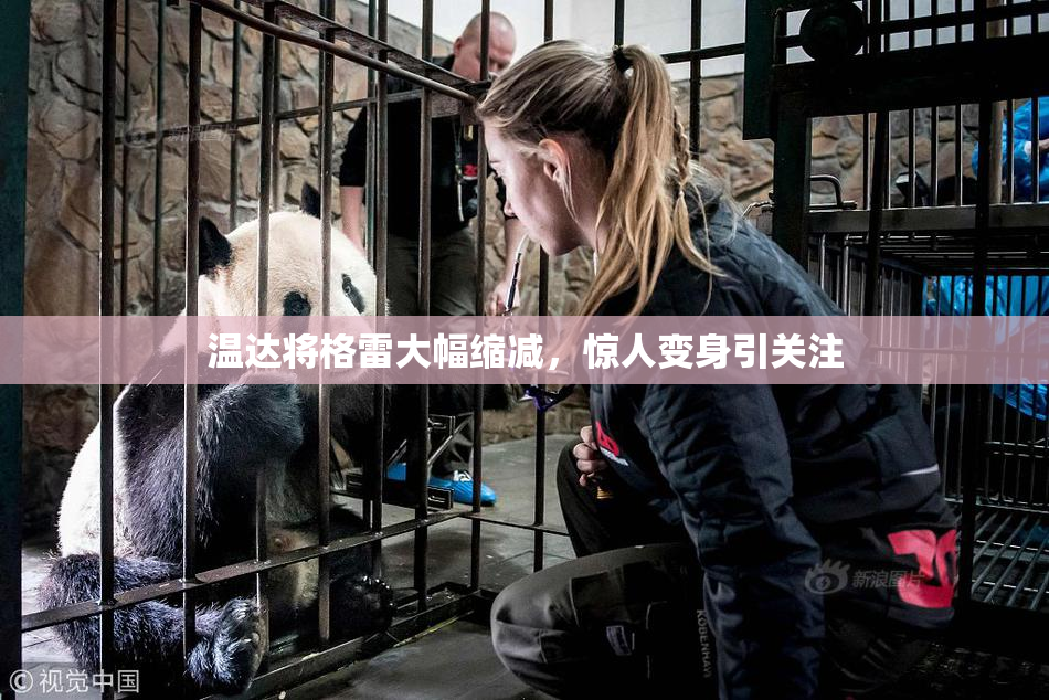 温达将格雷大幅缩减，惊人变身引关注