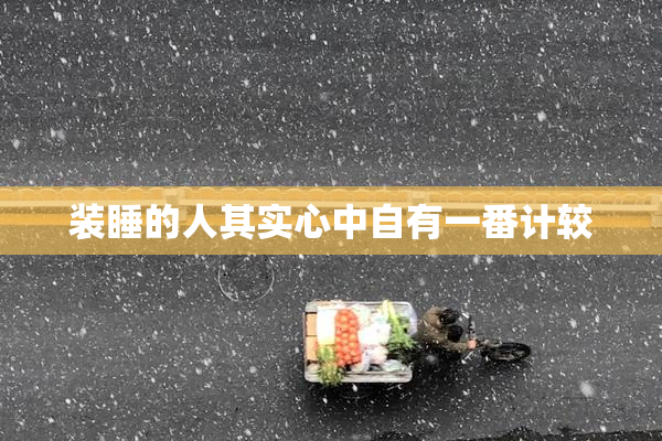 装睡的人其实心中自有一番计较