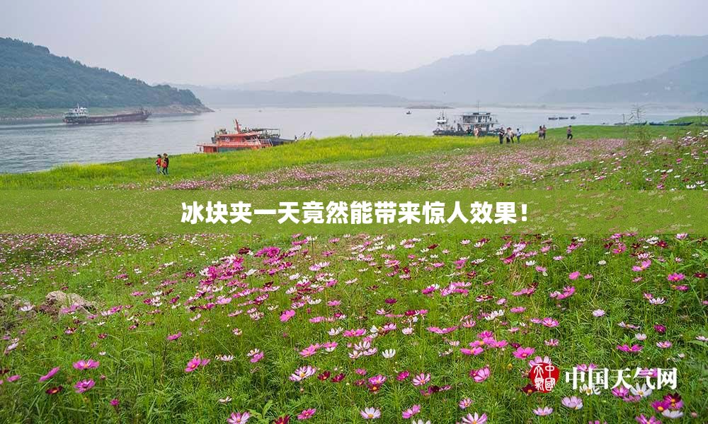 冰块夹一天竟然能带来惊人效果！
