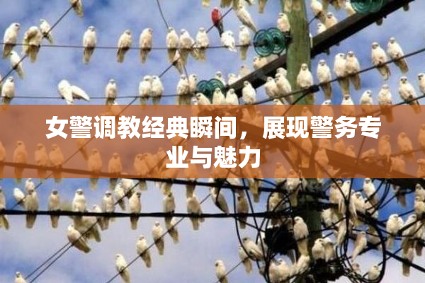 女警调教经典瞬间，展现警务专业与魅力