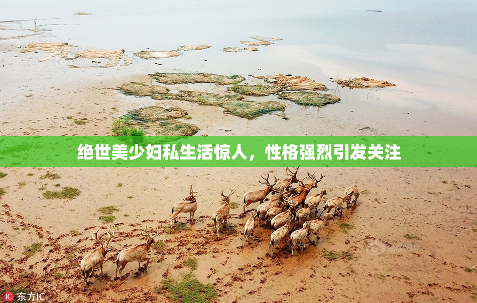绝世美少妇私生活惊人，性格强烈引发关注