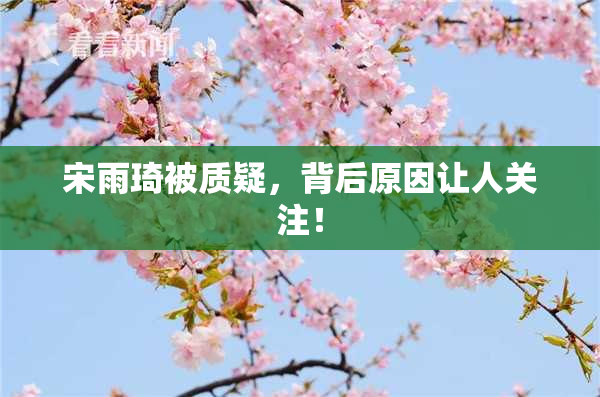 宋雨琦被质疑，背后原因让人关注！