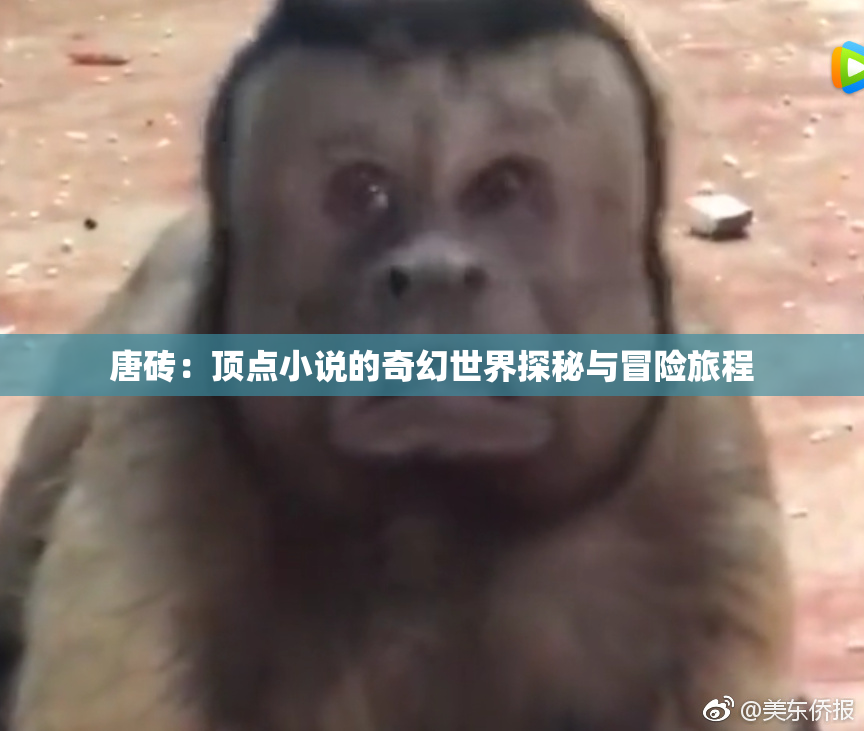 唐砖：顶点小说的奇幻世界探秘与冒险旅程