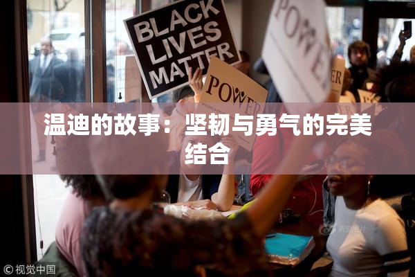 温迪的故事：坚韧与勇气的完美结合