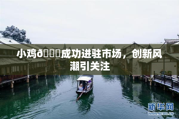 小鸡🐔成功进驻市场，创新风潮引关注