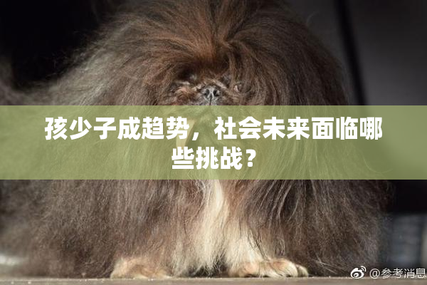 孩少子成趋势，社会未来面临哪些挑战？