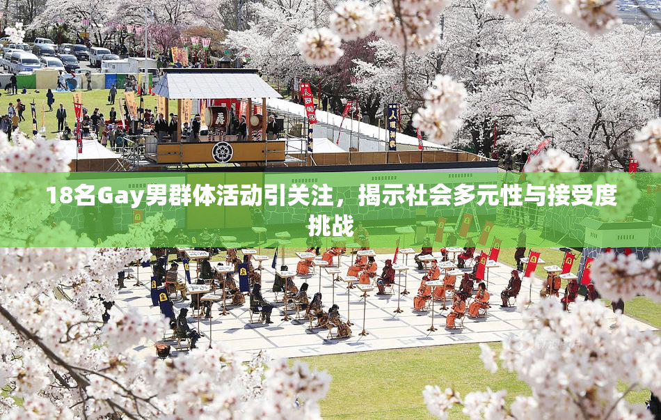 18名Gay男群体活动引关注，揭示社会多元性与接受度挑战