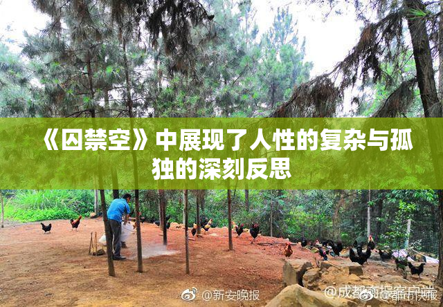 《囚禁空》中展现了人性的复杂与孤独的深刻反思