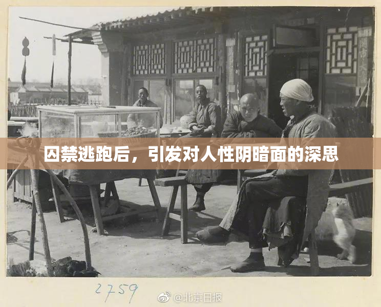 囚禁逃跑后，引发对人性阴暗面的深思