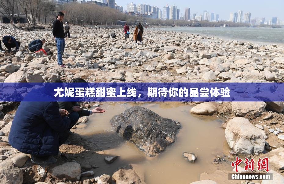 尤妮蛋糕甜蜜上线，期待你的品尝体验