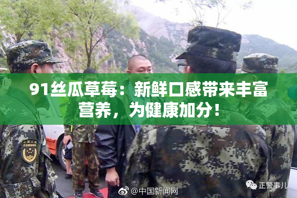 91丝瓜草莓：新鲜口感带来丰富营养，为健康加分！