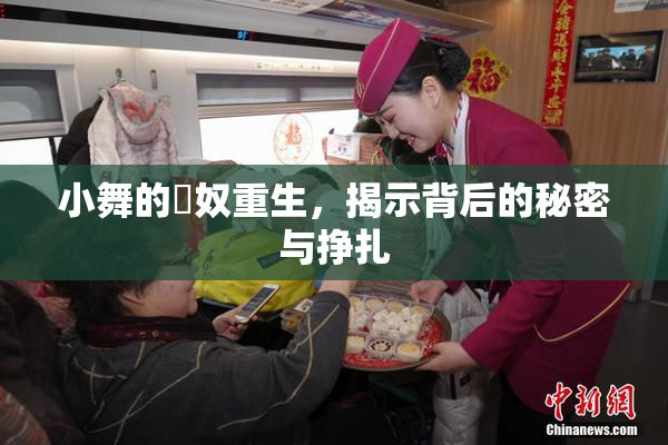 小舞的婬奴重生，揭示背后的秘密与挣扎