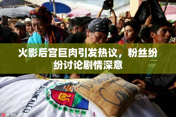 火影后宫巨肉引发热议，粉丝纷纷讨论剧情深意