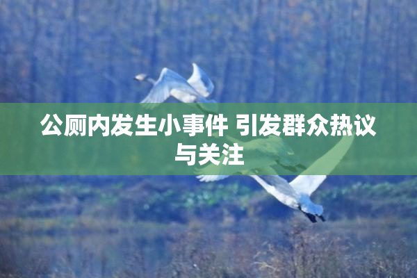 公厕内发生小事件 引发群众热议与关注