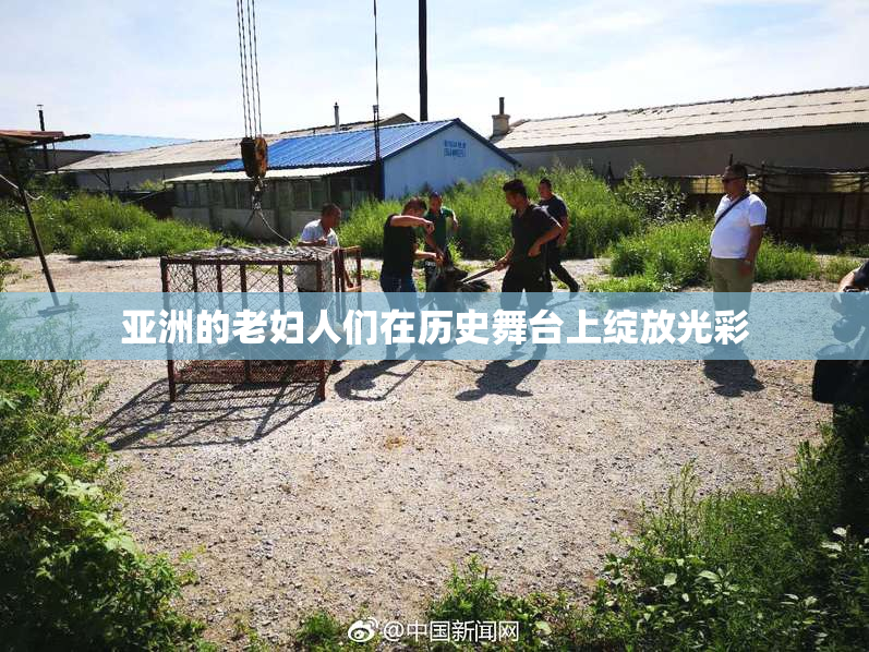 亚洲的老妇人们在历史舞台上绽放光彩