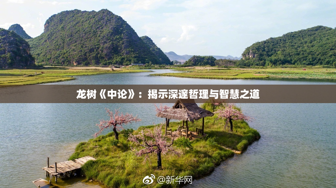 龙树《中论》：揭示深邃哲理与智慧之道