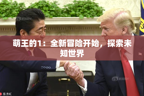 萌王的1：全新冒险开始，探索未知世界