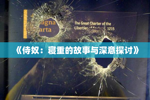 《侍奴：寝重的故事与深意探讨》
