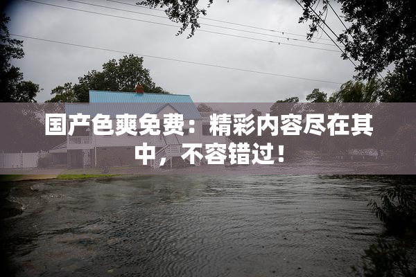 国产色爽免费：精彩内容尽在其中，不容错过！