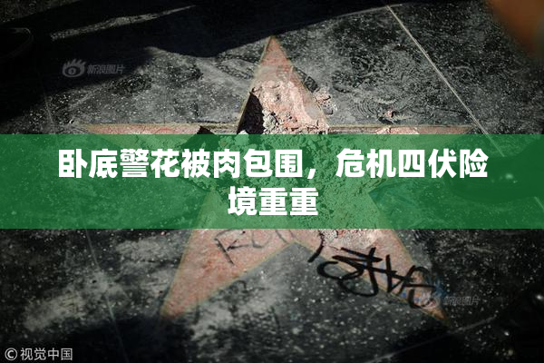 卧底警花被肉包围，危机四伏险境重重