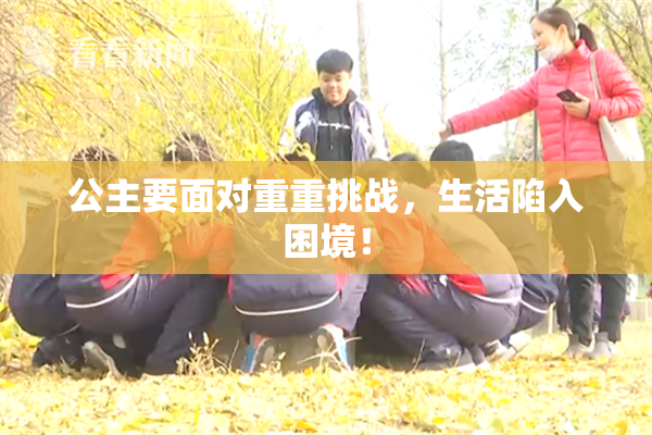 公主要面对重重挑战，生活陷入困境！
