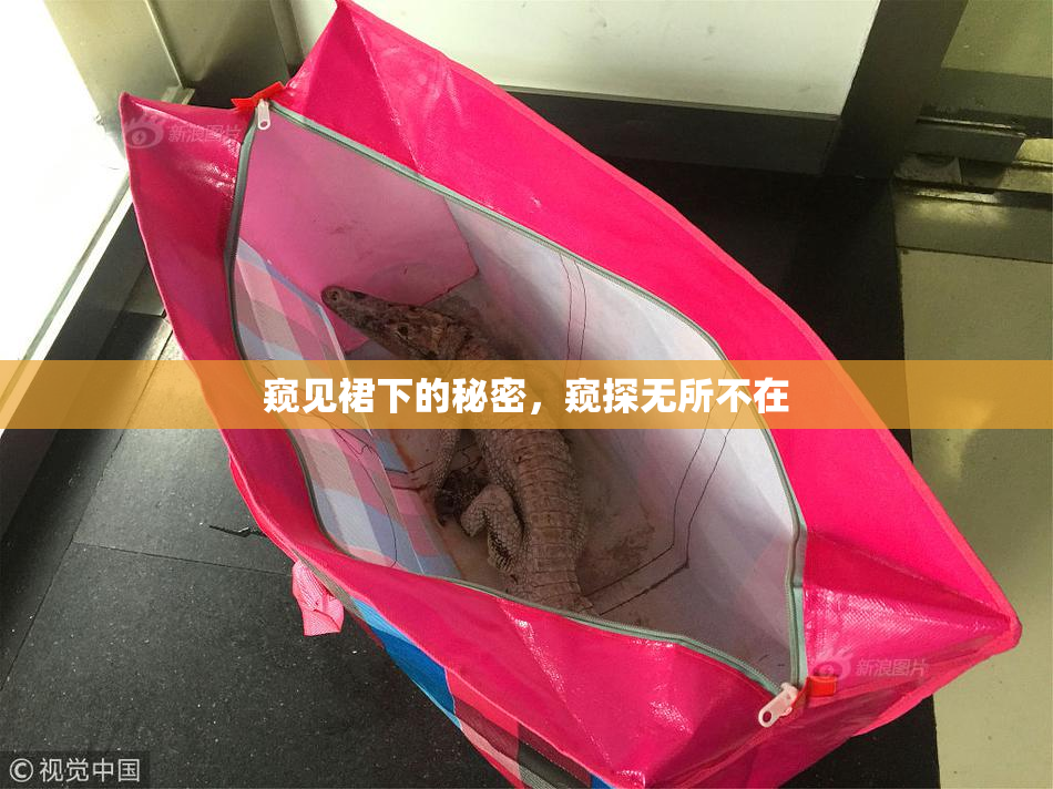 窥见裙下的秘密，窥探无所不在