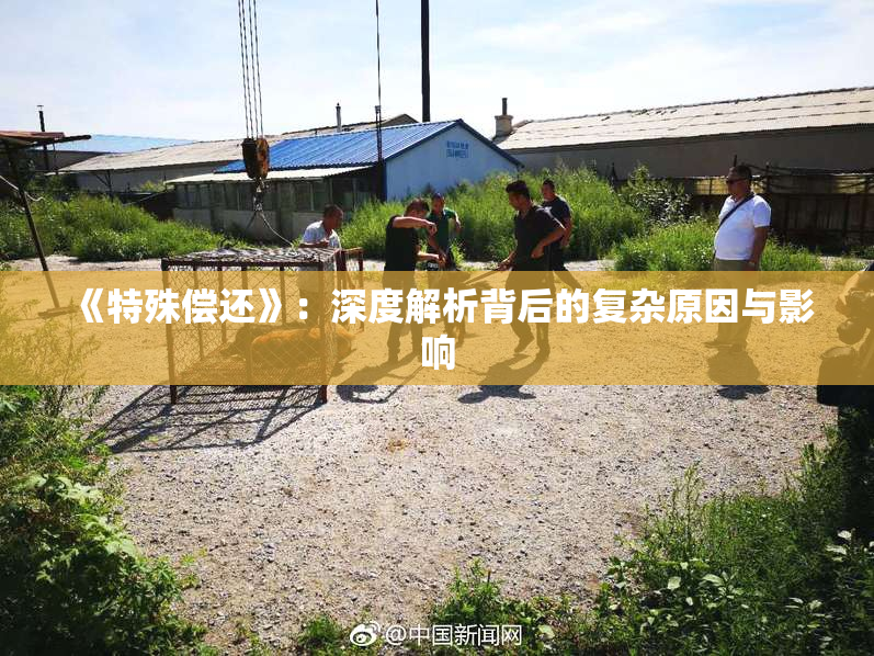 《特殊偿还》：深度解析背后的复杂原因与影响