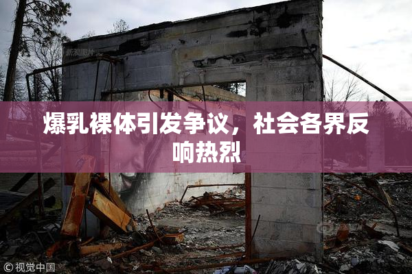 爆乳裸体引发争议，社会各界反响热烈