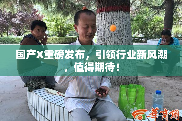 国产X重磅发布，引领行业新风潮，值得期待！