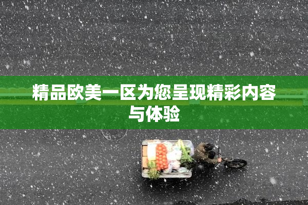 精品欧美一区为您呈现精彩内容与体验
