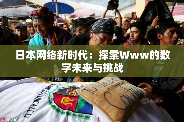 日本网络新时代：探索Www的数字未来与挑战