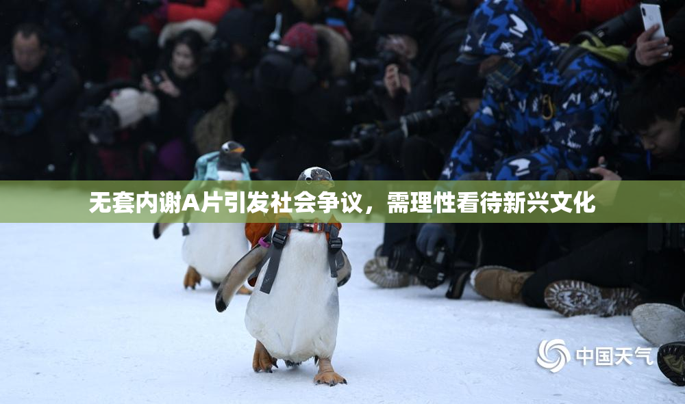 无套内谢A片引发社会争议，需理性看待新兴文化
