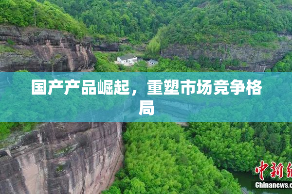 国产产品崛起，重塑市场竞争格局