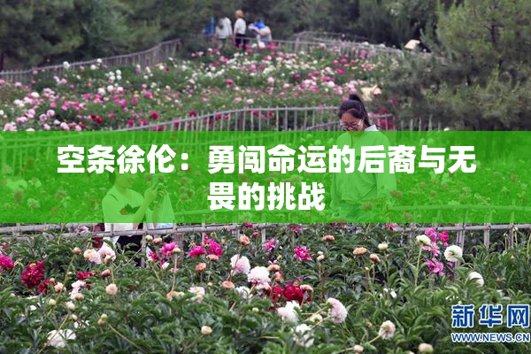 空条徐伦：勇闯命运的后裔与无畏的挑战