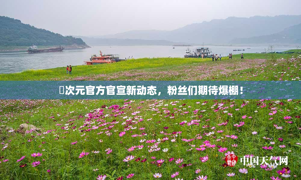 囧次元官方官宣新动态，粉丝们期待爆棚！