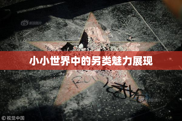 小小世界中的另类魅力展现