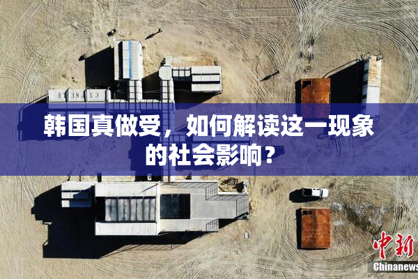 韩国真做受，如何解读这一现象的社会影响？