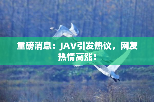 重磅消息：JAV引发热议，网友热情高涨！
