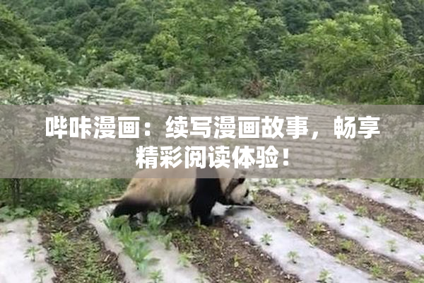 哔咔漫画：续写漫画故事，畅享精彩阅读体验！