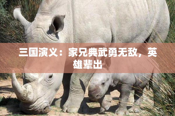 三国演义：家兄典武勇无敌，英雄辈出
