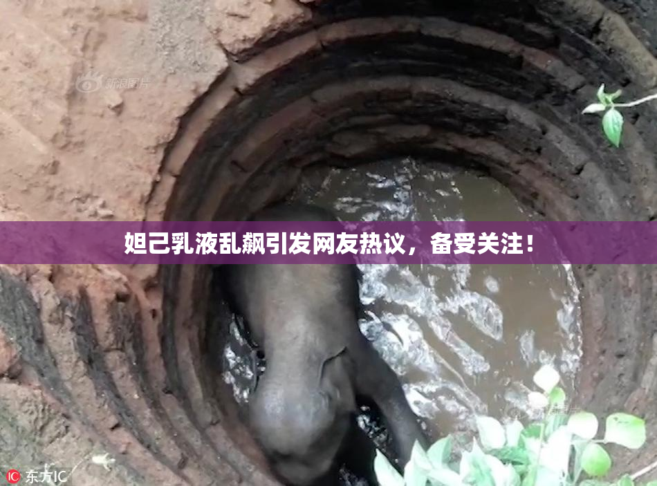 妲己乳液乱飙引发网友热议，备受关注！