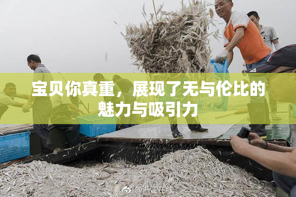 宝贝你真重，展现了无与伦比的魅力与吸引力